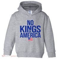 No Kings In America Toddler Hoodie thumb 0