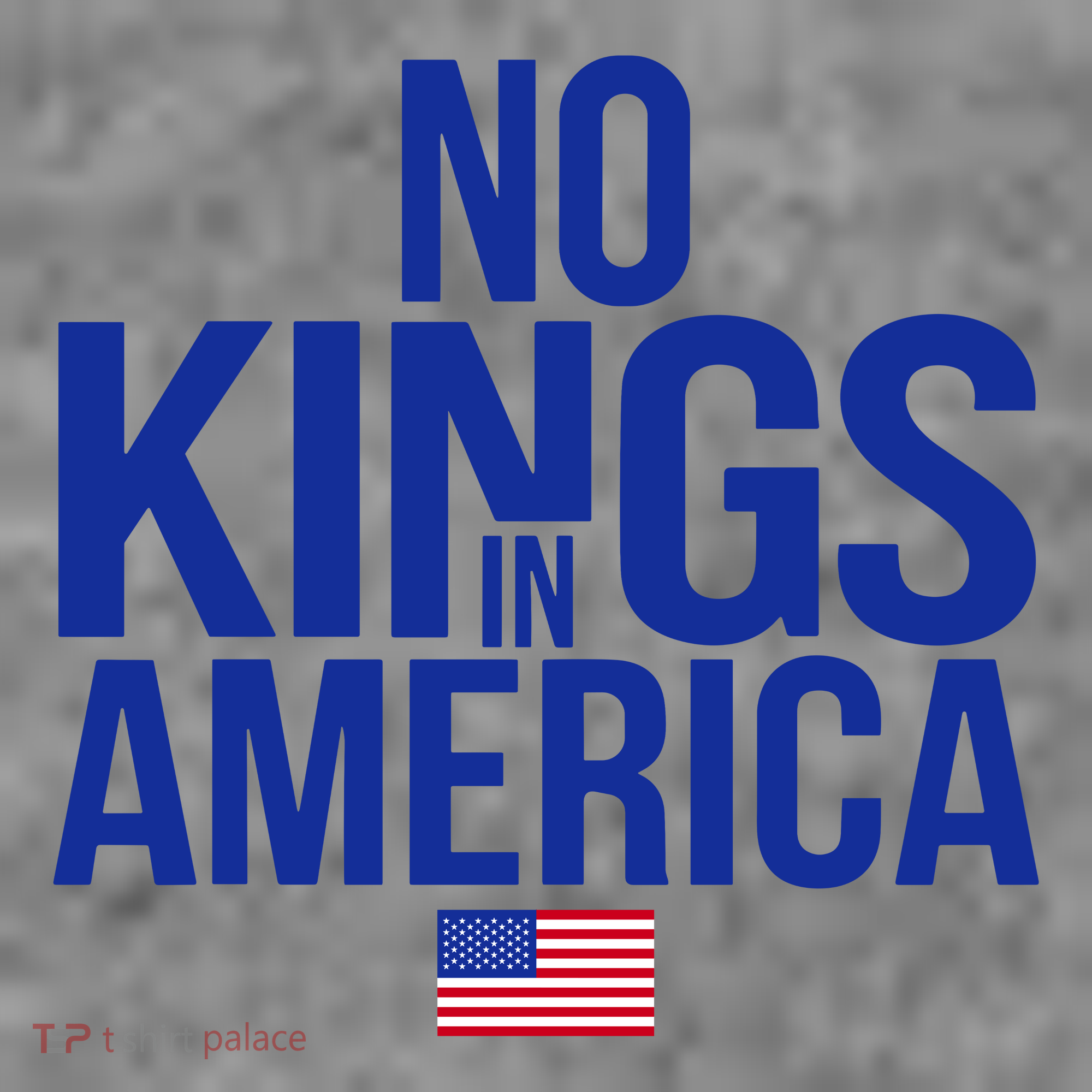 No Kings In America Toddler Hoodie