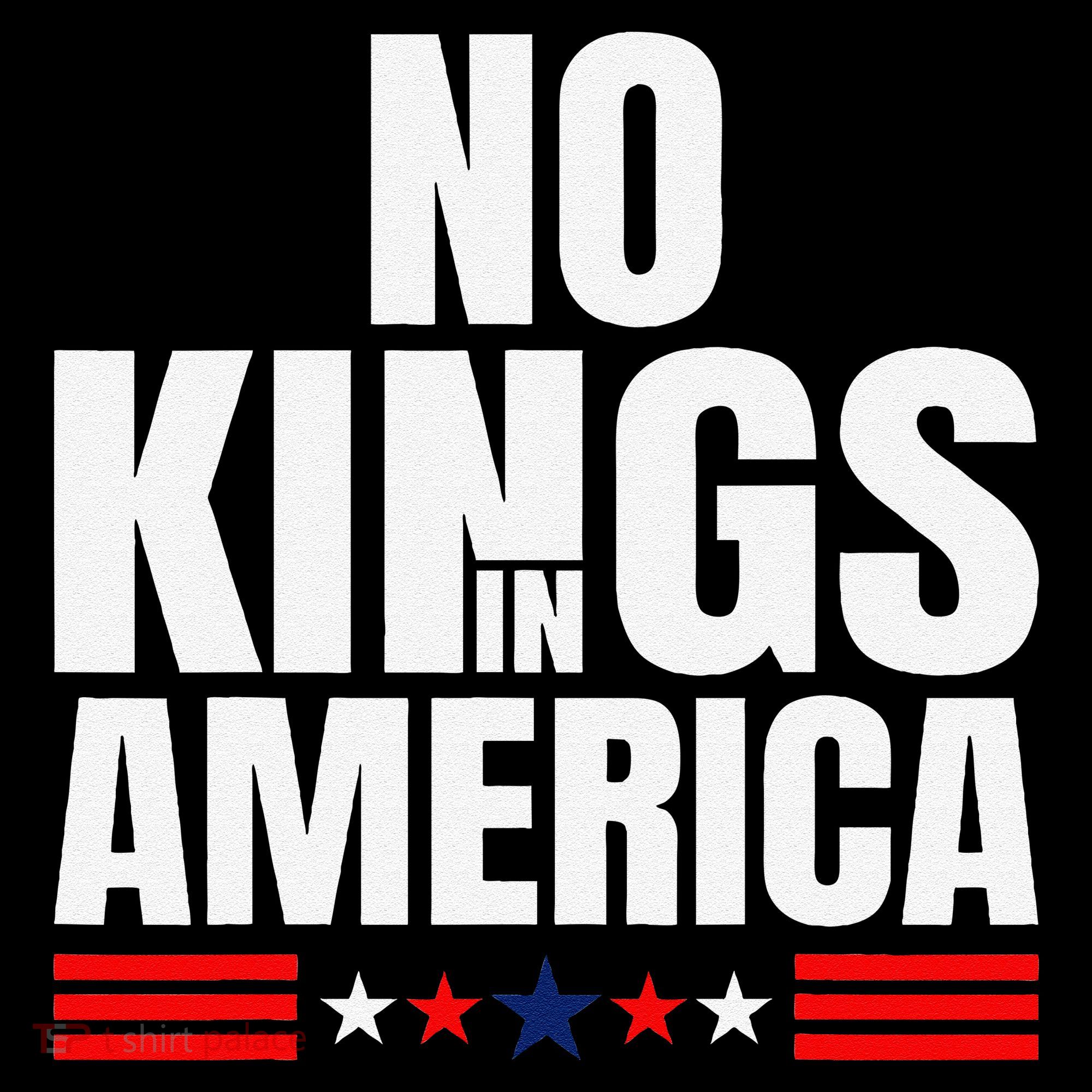 No Kings In America Court Ruling Protest Save Democracy Usa Coffee Mug