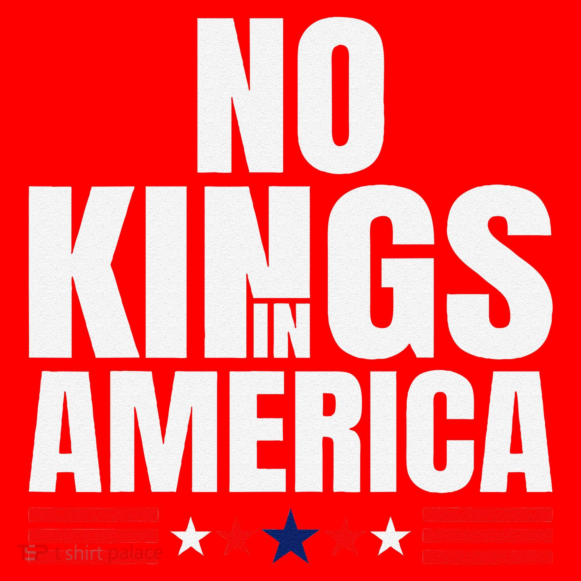 No Kings In America Court Ruling Protest Save Democracy Usa Santa Hat