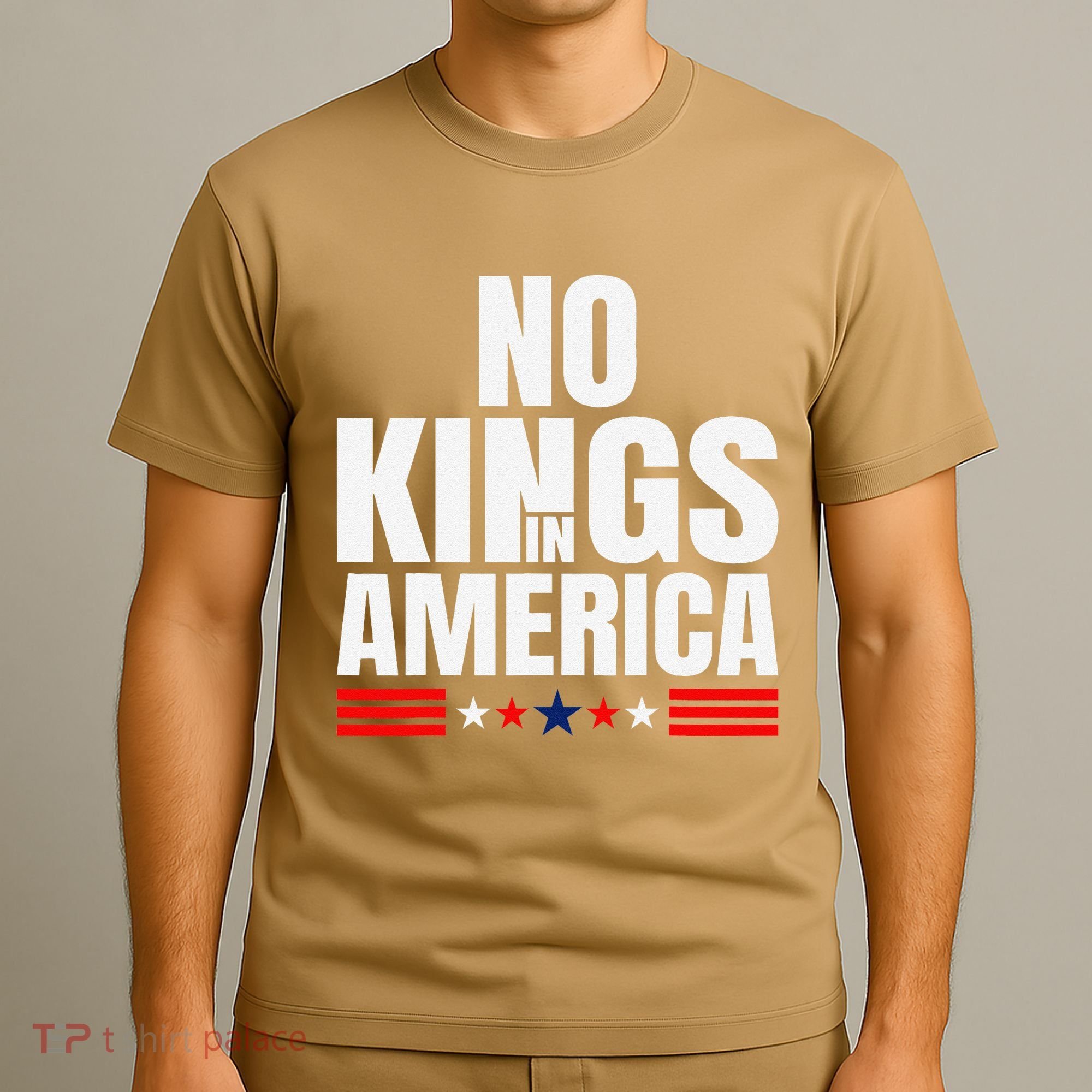 No Kings In America Court Ruling Protest Save Democracy Usa T-Shirt