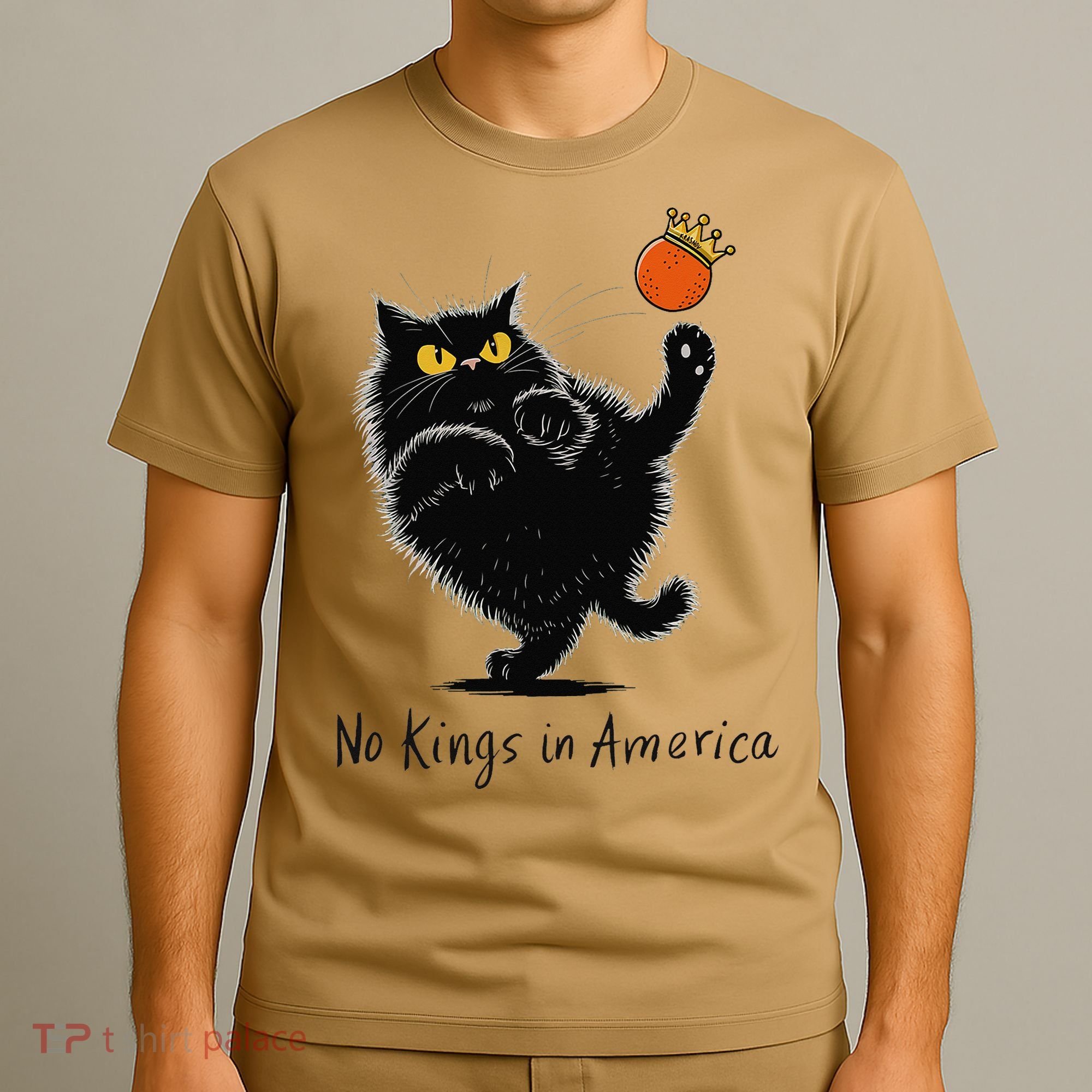 No Kings In America We The People Political T-Shirt