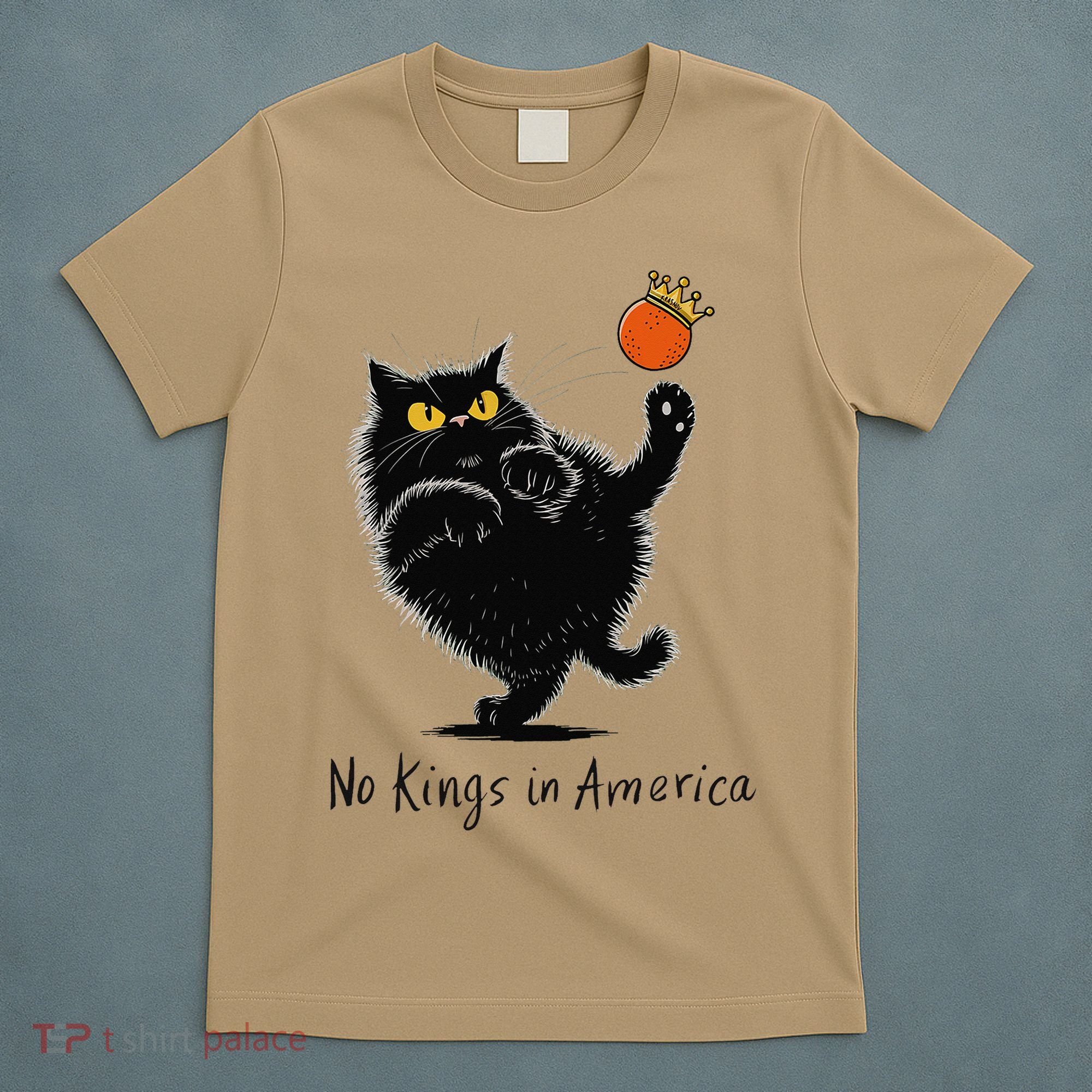 No Kings In America We The People Political T-Shirt