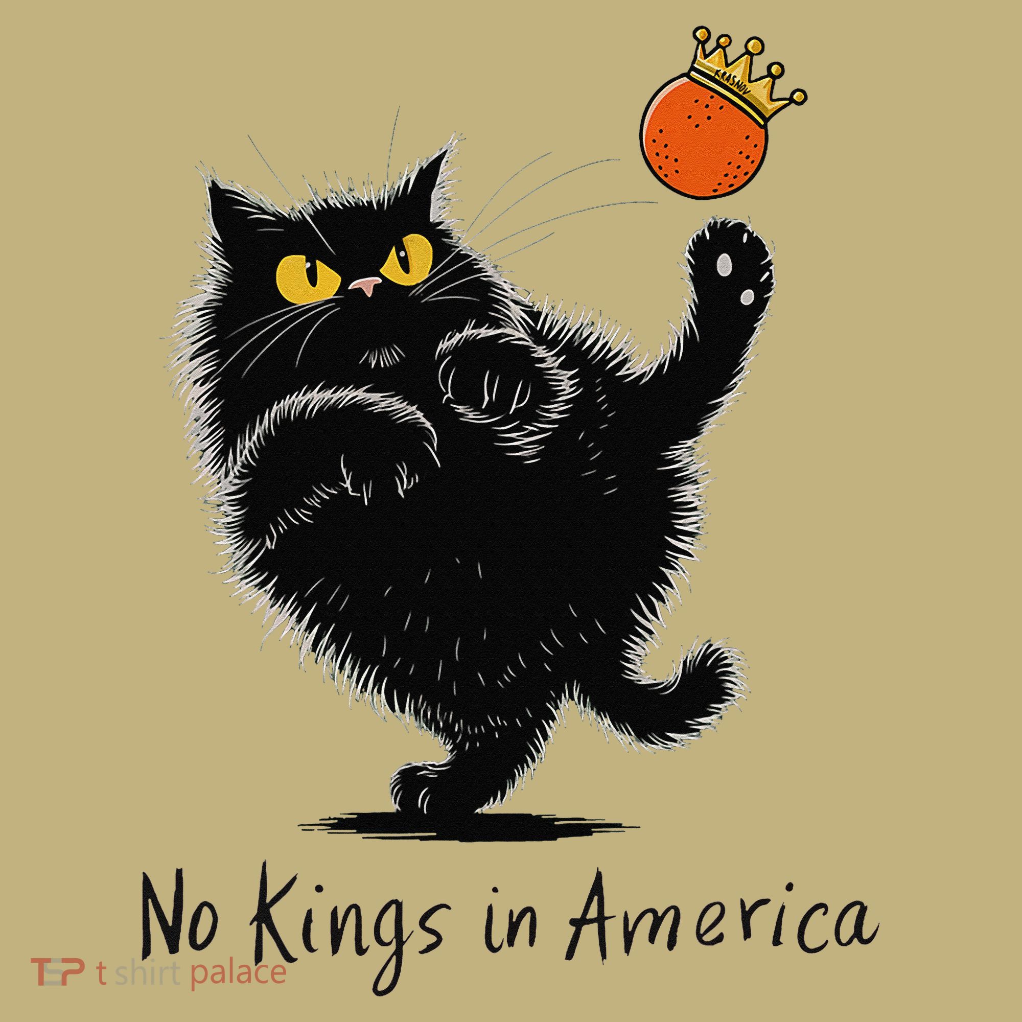 No Kings In America We The People Political T-Shirt
