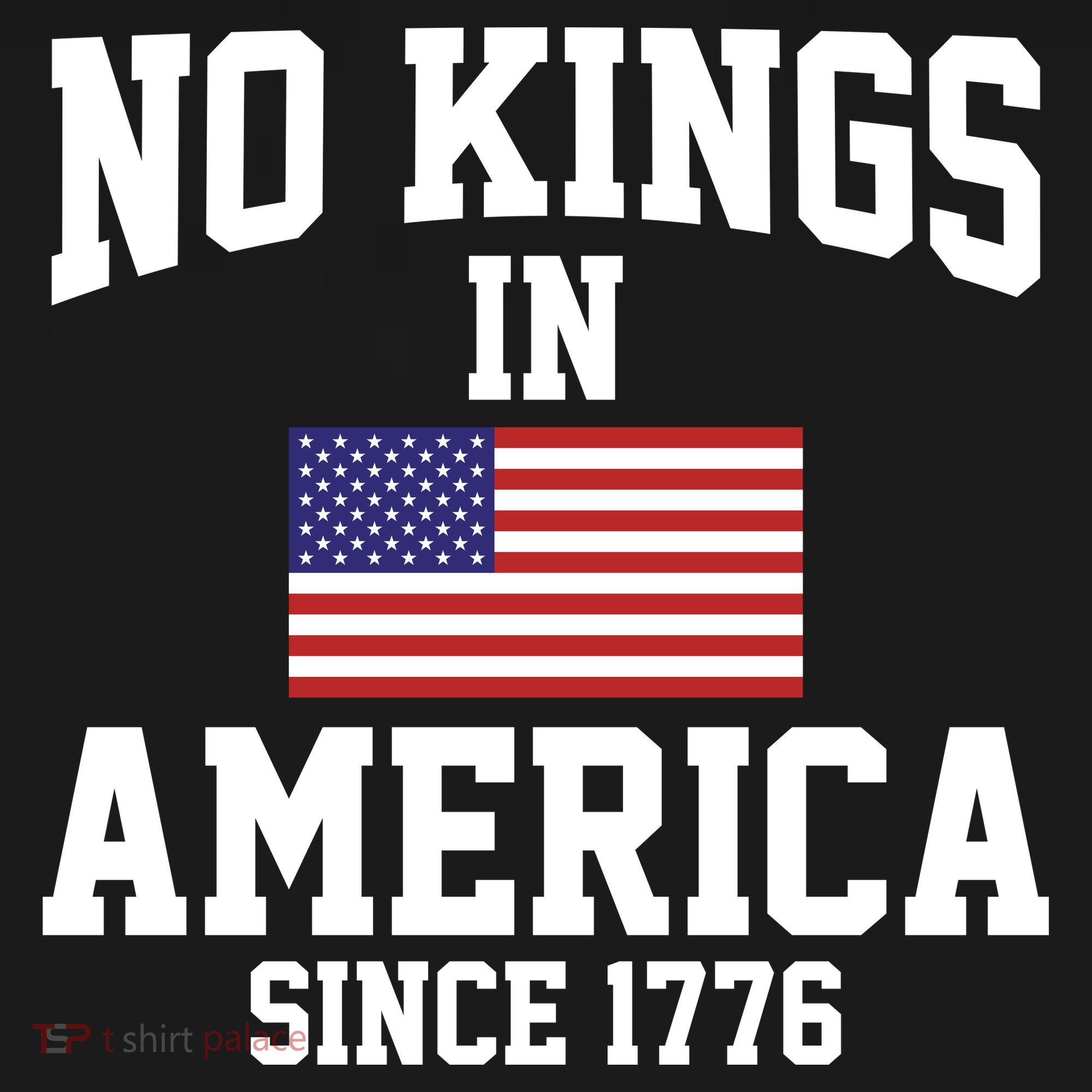 No Kings In America Since 1776 Bucket Hat