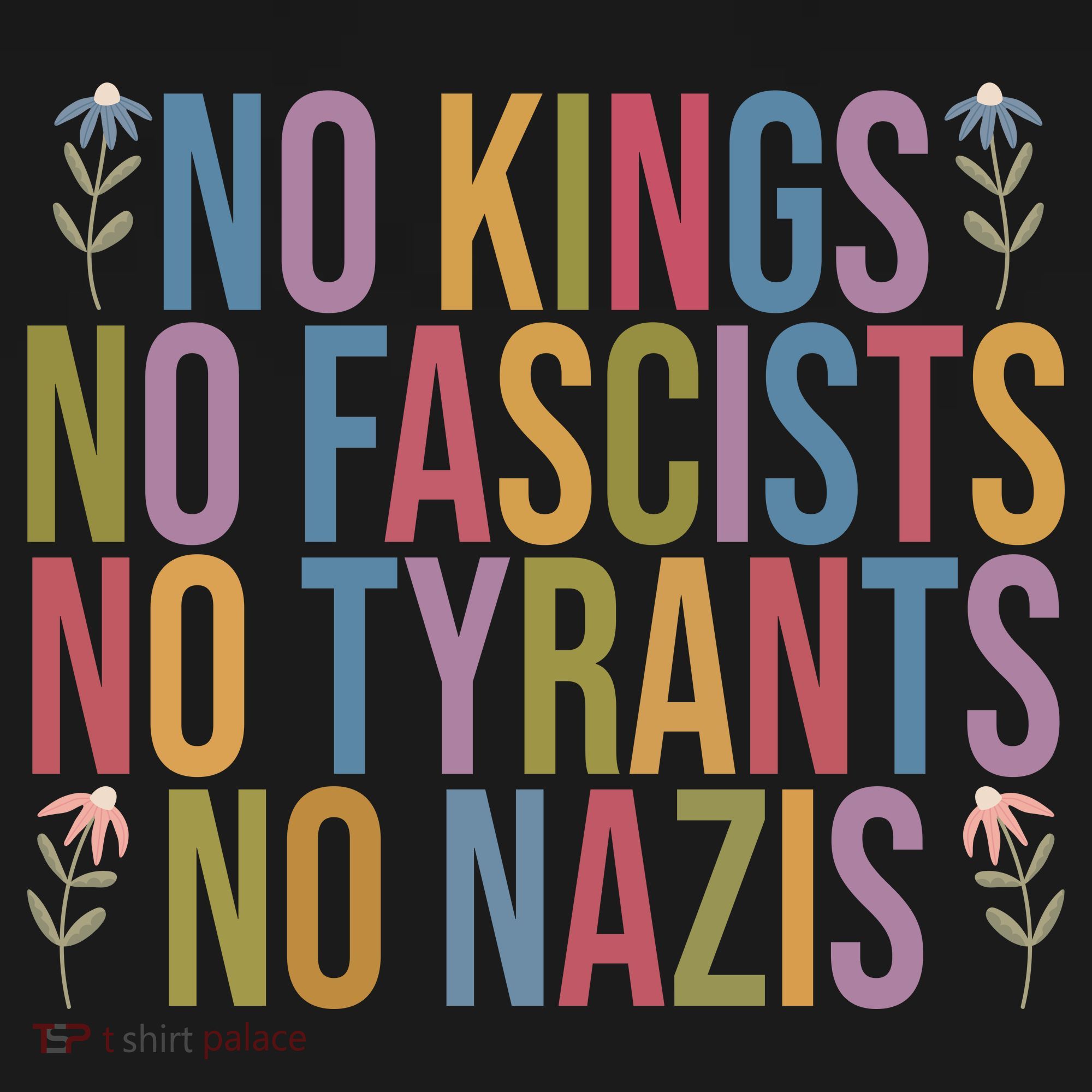No Kings In America No Fascists We The People Political T-Shirt