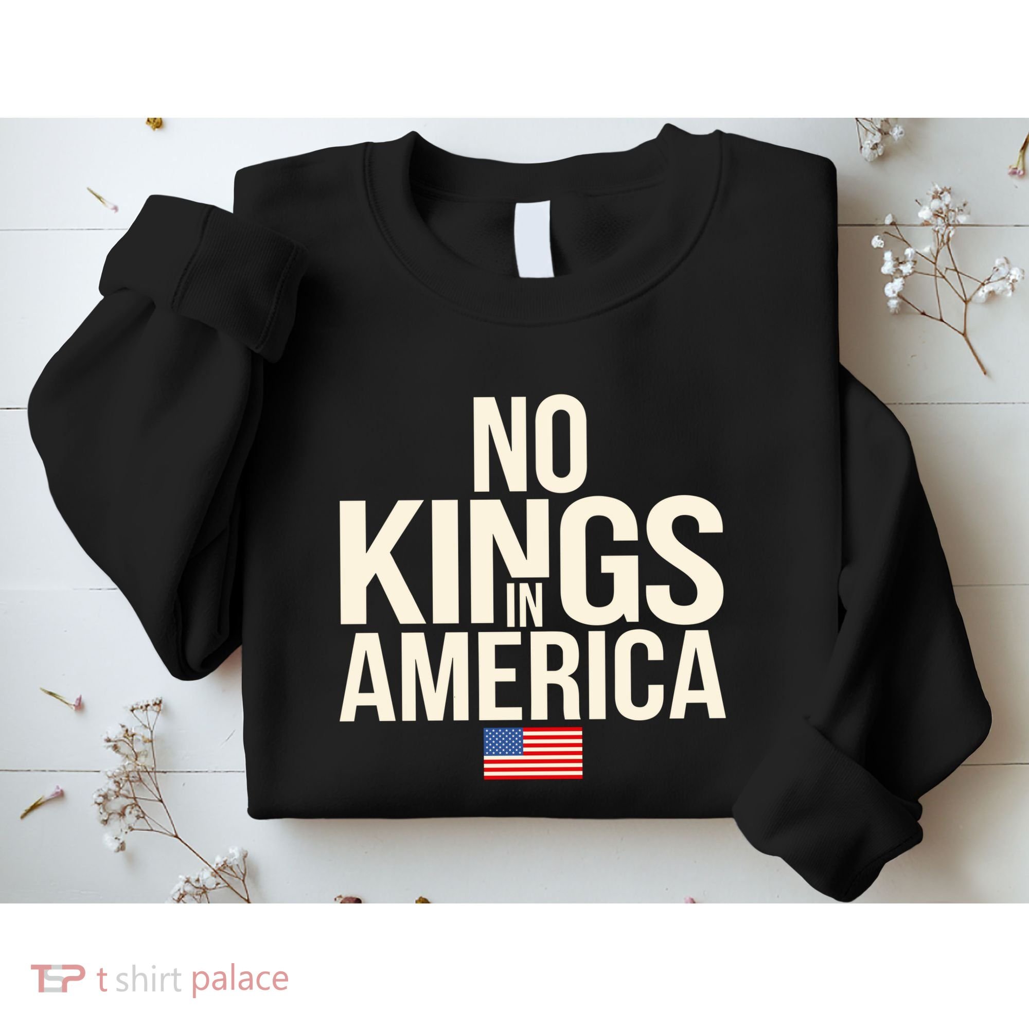 No Kings In America Democracy United States Independence Sweatshirt