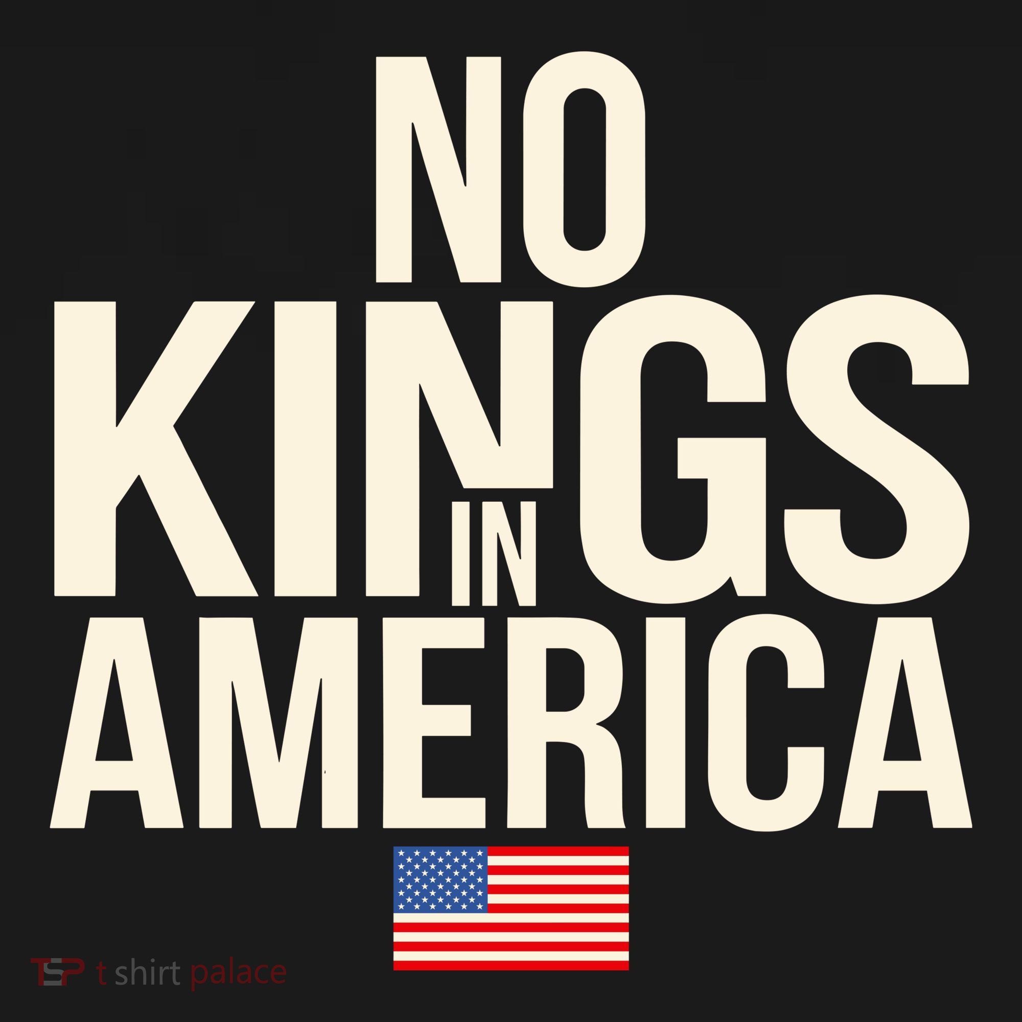 No Kings In America Democracy United States Independence Women's Hoodie