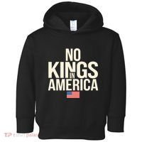 No Kings In America Democracy United States Independence Toddler Hoodie thumb 0