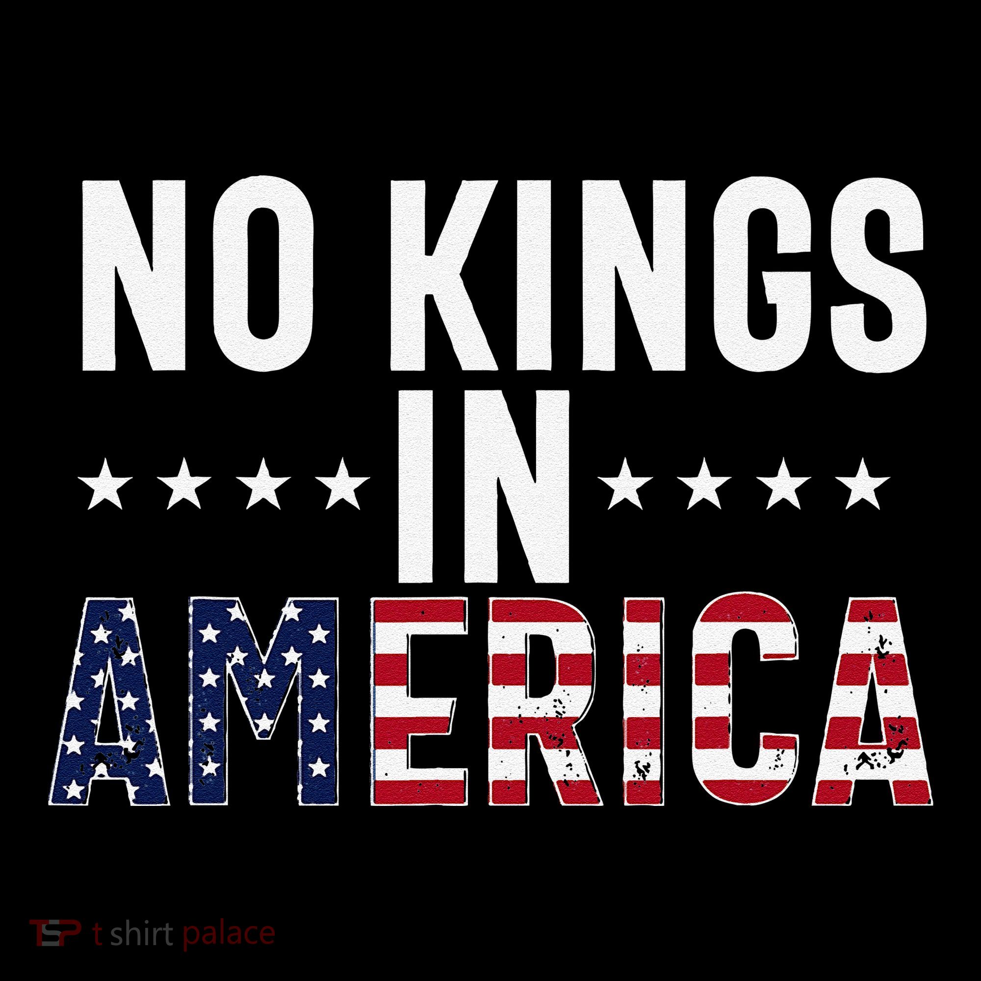 No Kings In America Flag Protest Save Democracy Women's Hoodie
