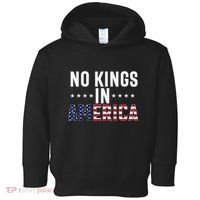 No Kings In America Flag Protest Save Democracy Toddler Hoodie thumb 0