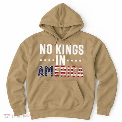 No Kings In America Flag Protest Save Democracy Hoodie