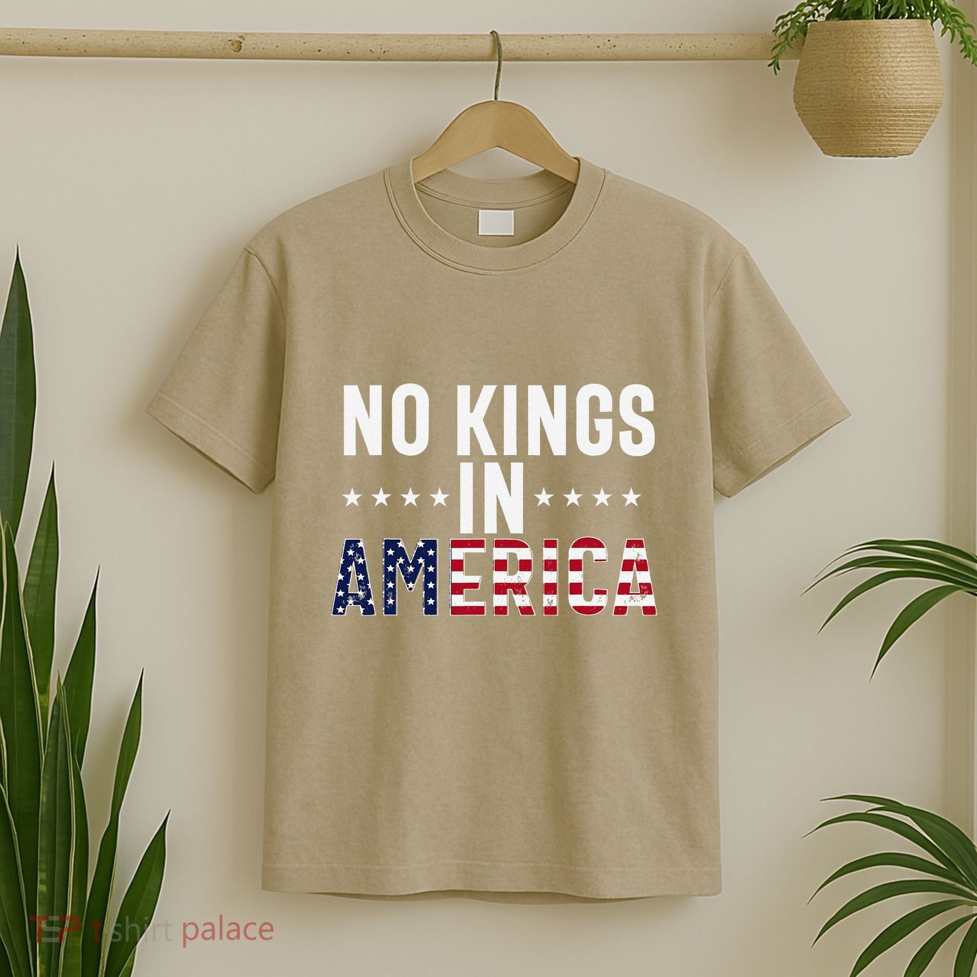 No Kings In America Flag Protest Save Democracy T-Shirt