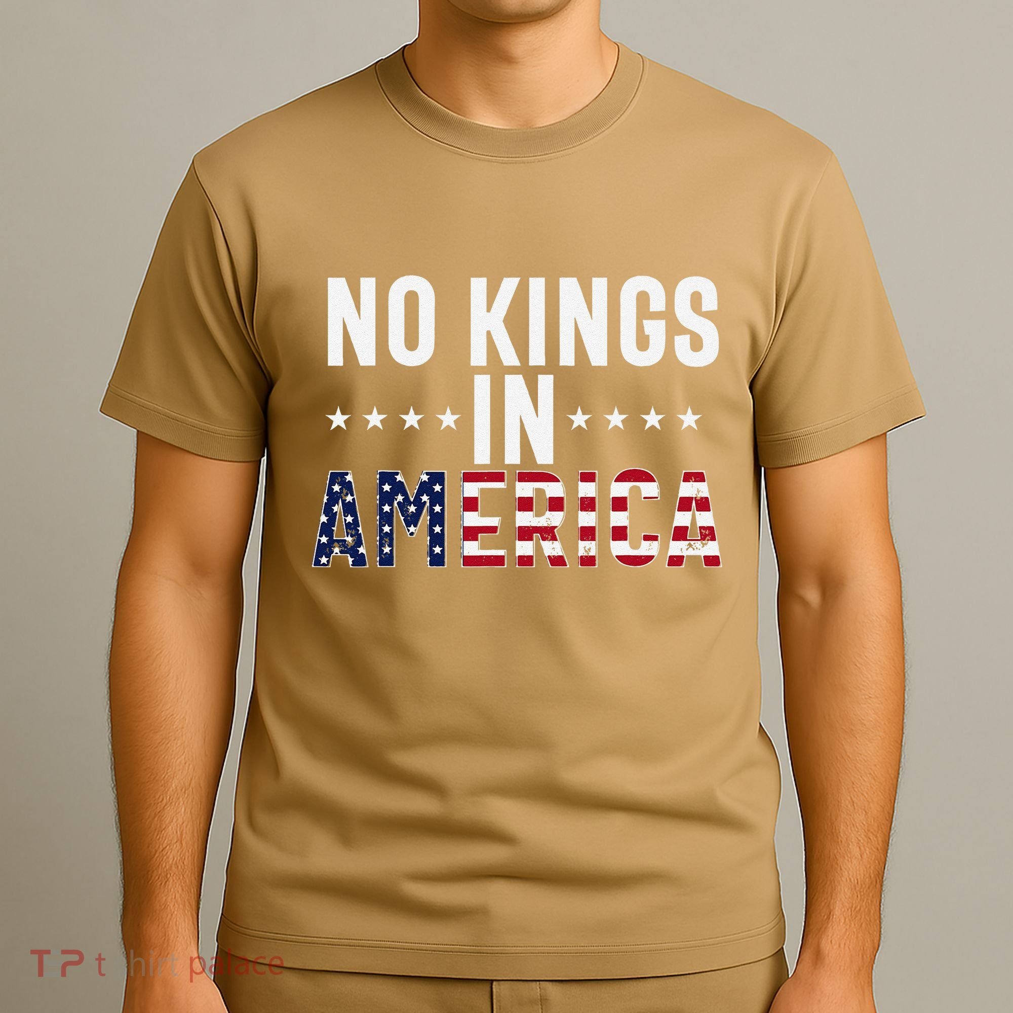 No Kings In America Flag Protest Save Democracy T-Shirt
