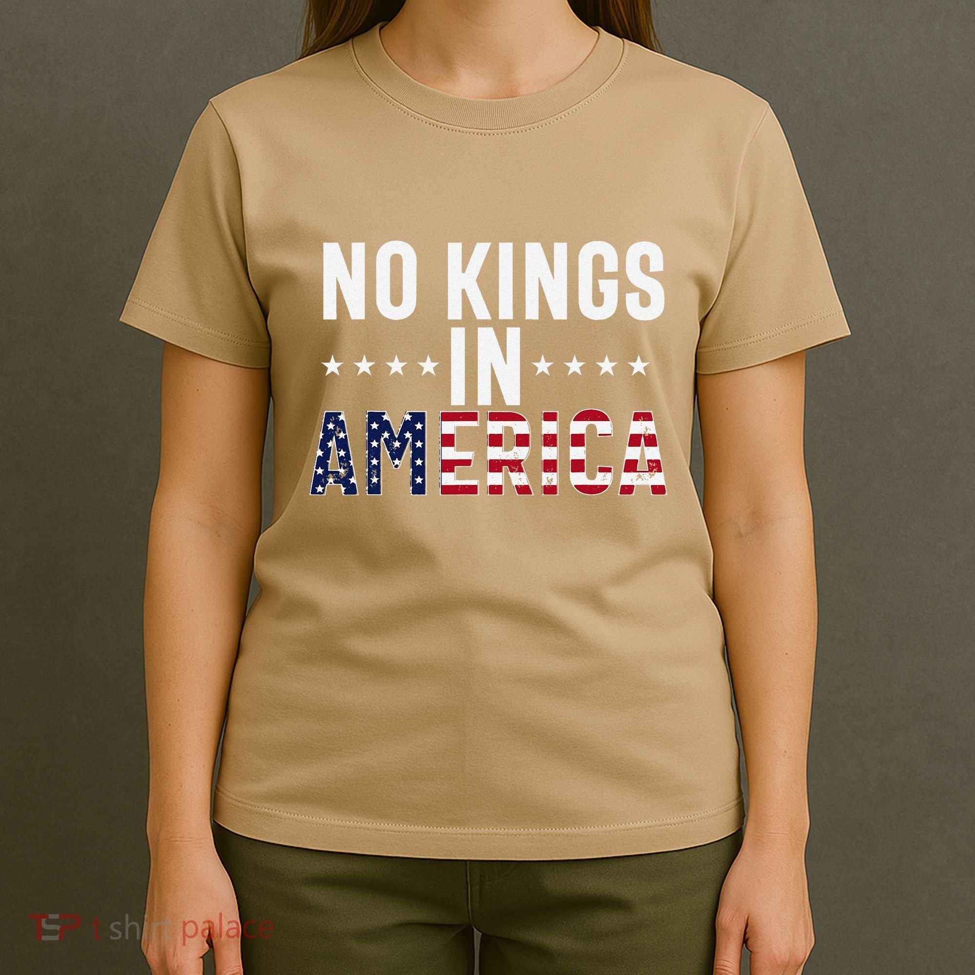 No Kings In America Flag Protest Save Democracy T-Shirt