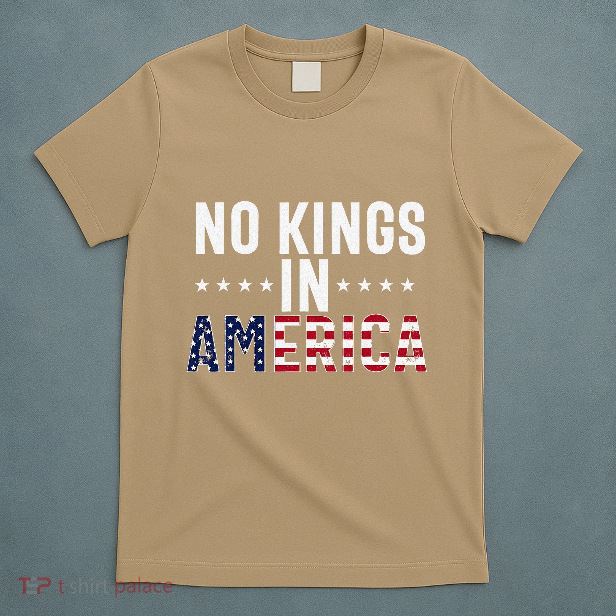 No Kings In America Flag Protest Save Democracy T-Shirt