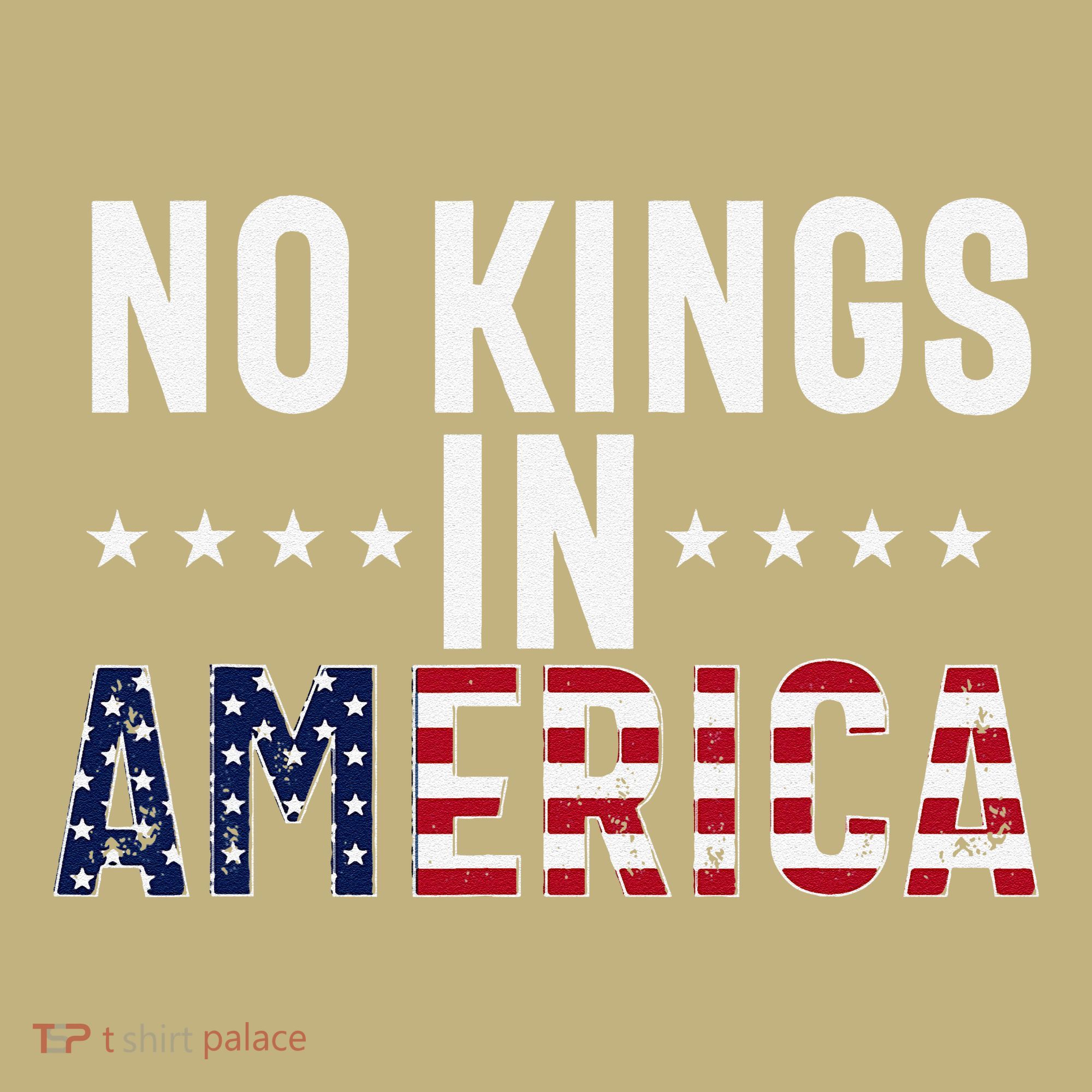 No Kings In America Flag Protest Save Democracy T-Shirt