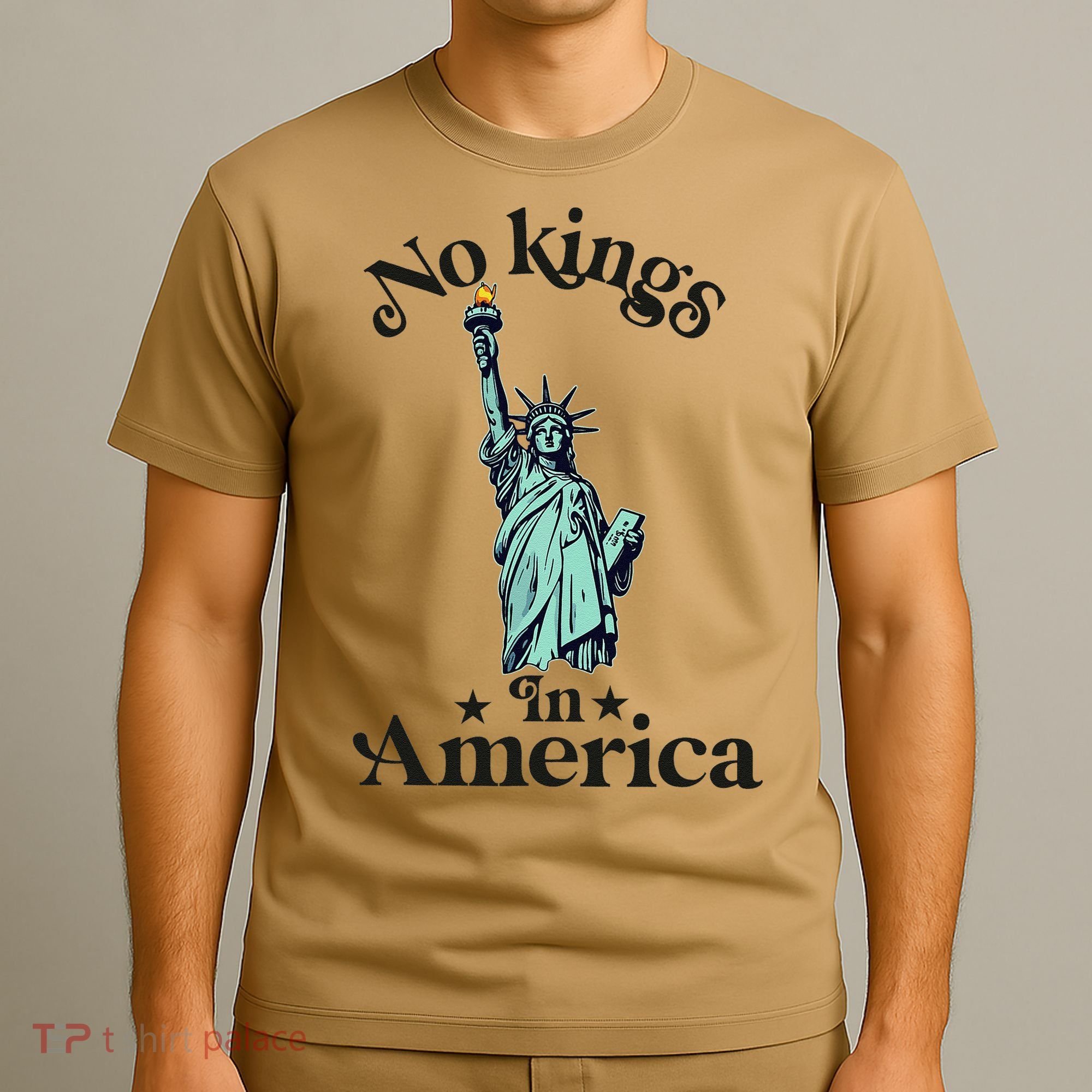 No Kings In America Flag Protest Save Democracy T-Shirt