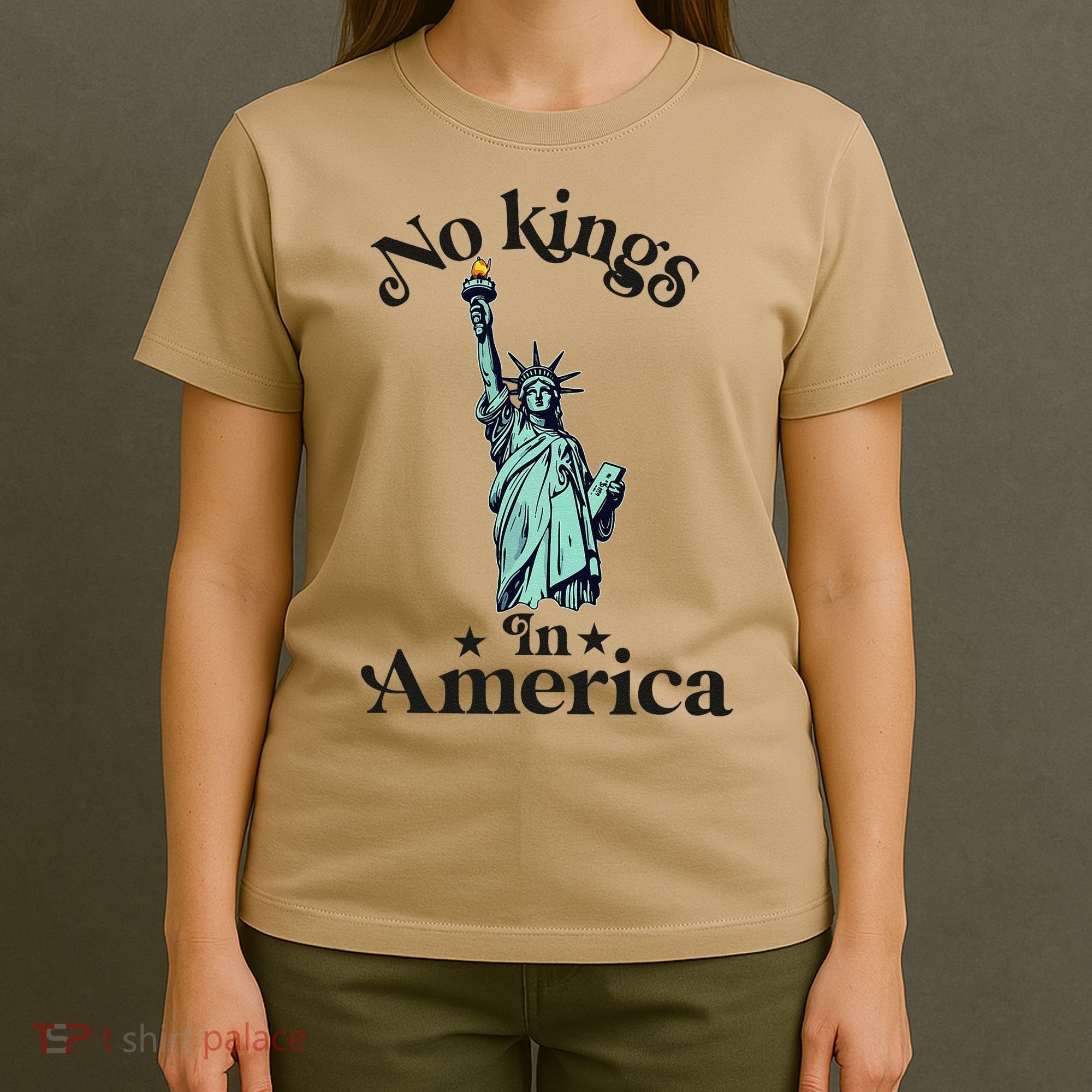 No Kings In America Flag Protest Save Democracy T-Shirt