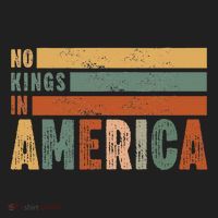 No Kings In America Flag Protest Save Democracy Beanie thumb 2