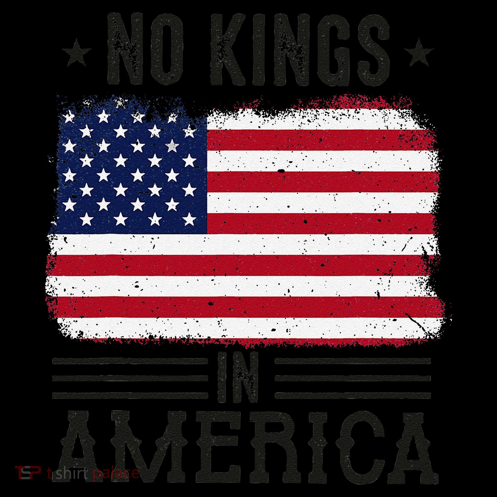 No Kings In America Flag Protest Save Democracy Women's Hoodie
