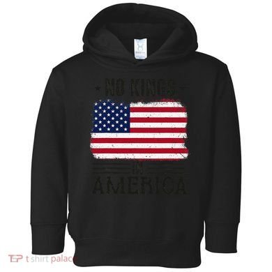 No Kings In America Flag Protest Save Democracy Toddler Hoodie