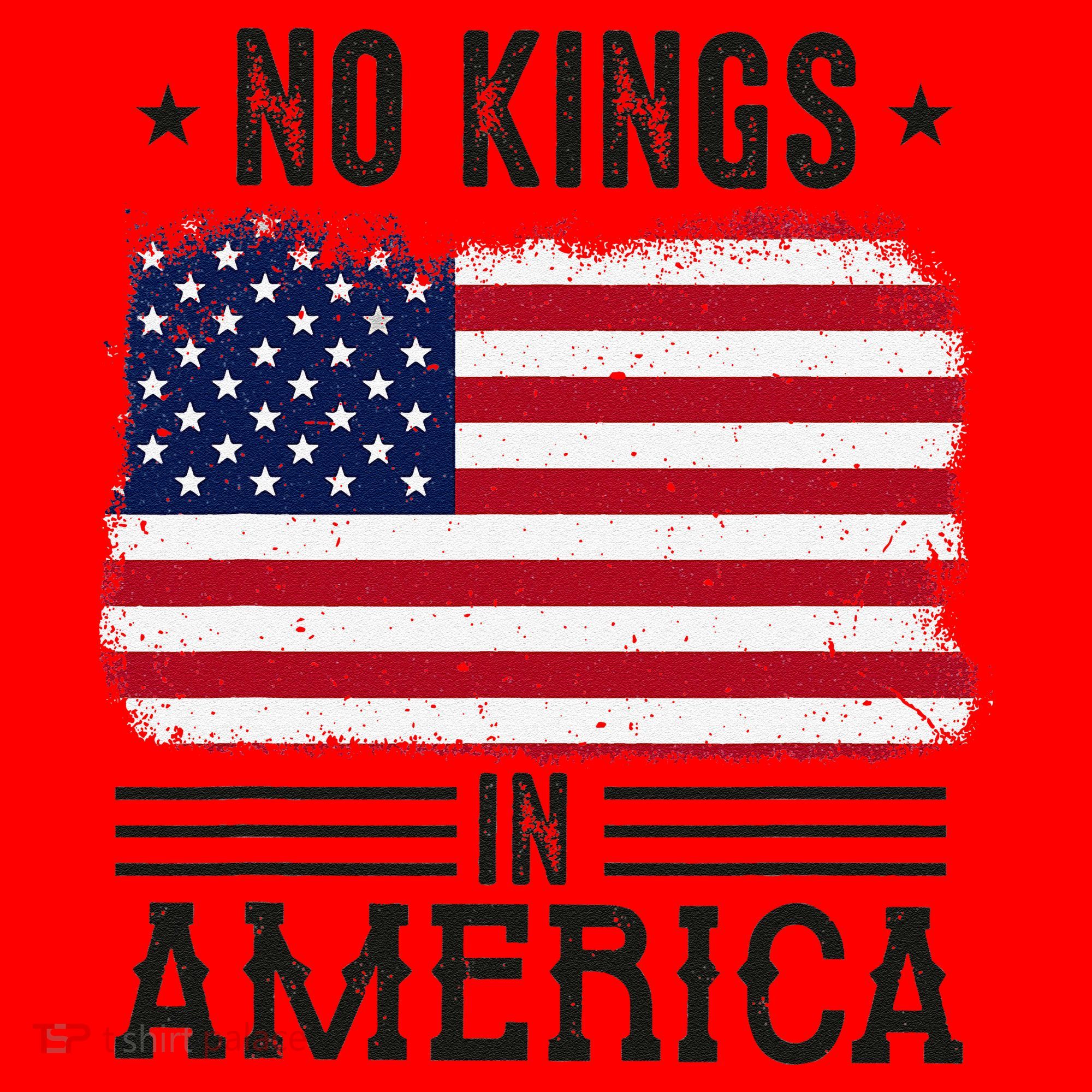 No Kings In America Flag Protest Save Democracy Santa Hat