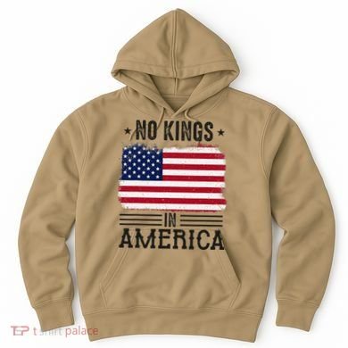No Kings In America Flag Protest Save Democracy Hoodie