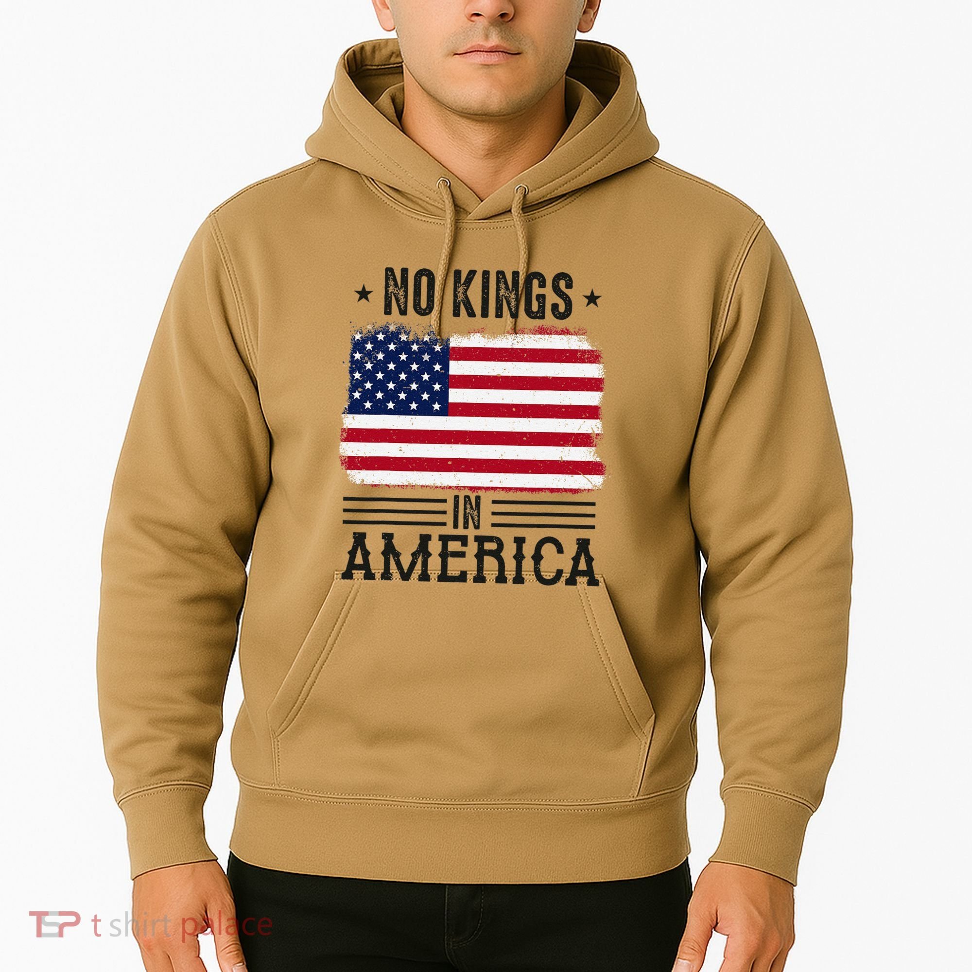 No Kings In America Flag Protest Save Democracy Hoodie