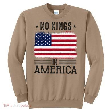 No Kings In America Flag Protest Save Democracy Sweatshirt