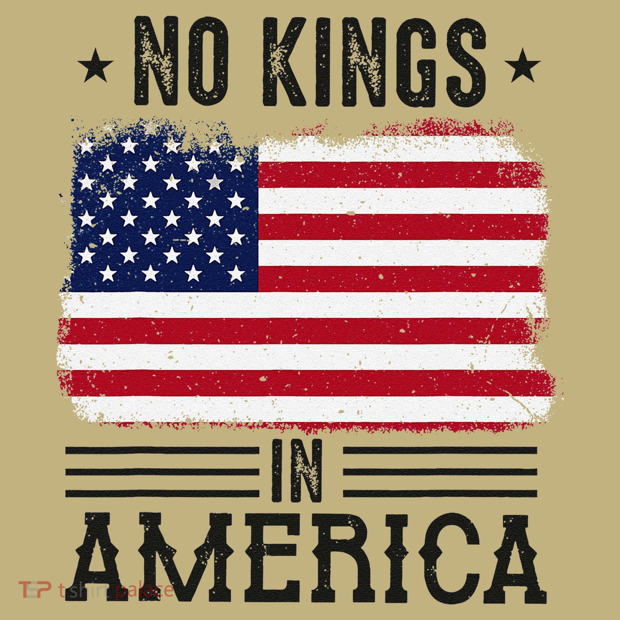 No Kings In America Flag Protest Save Democracy T-Shirt