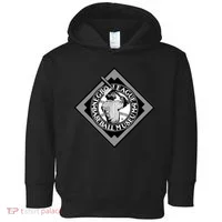 Negro Leagues First Night Game Toddler Hoodie thumb 0