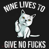 Nine Lives Give No Fucks Women's Hoodie thumb 2