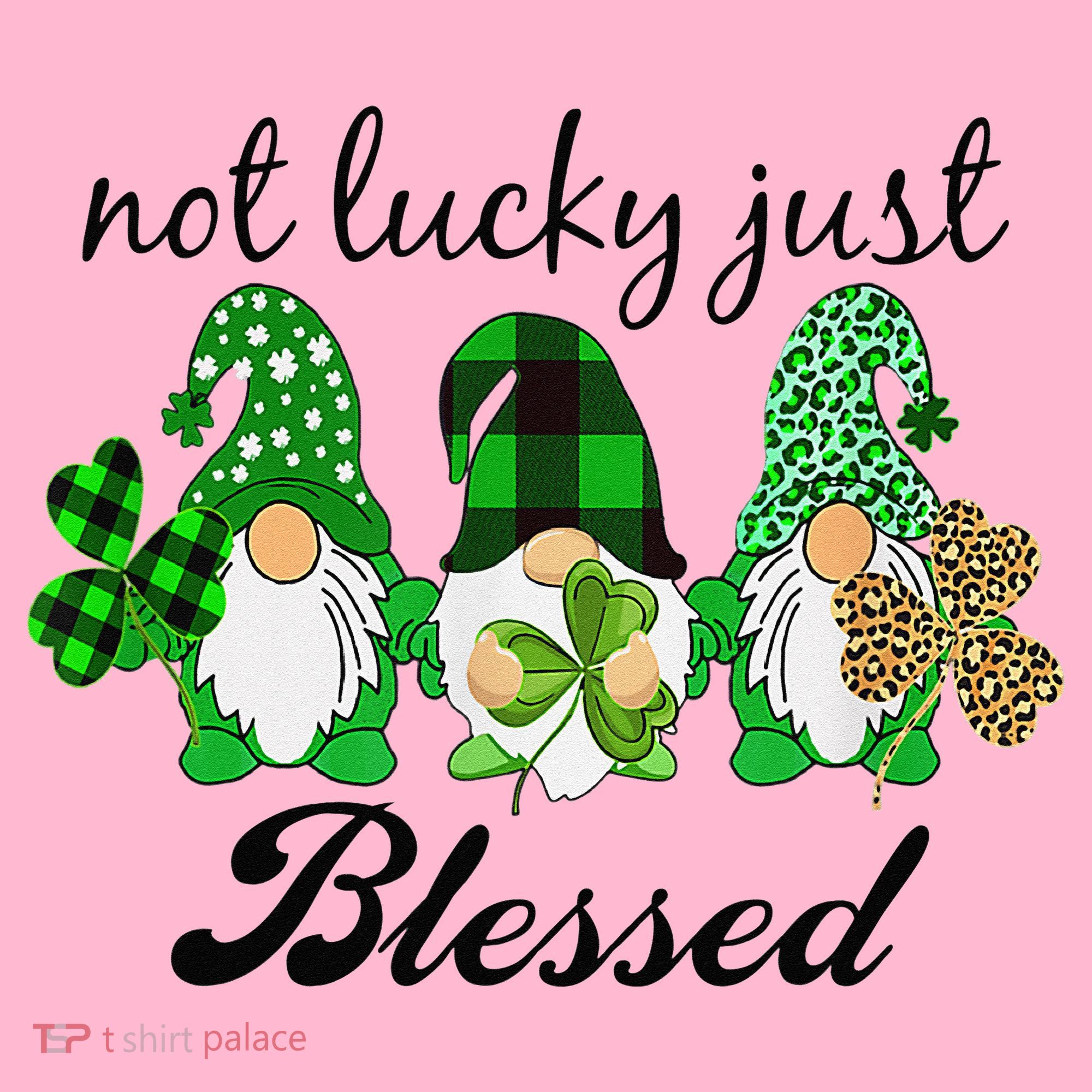 Not Lucky Just Blessed Gnomes Shamrock St Patrick Day Irish Coaster