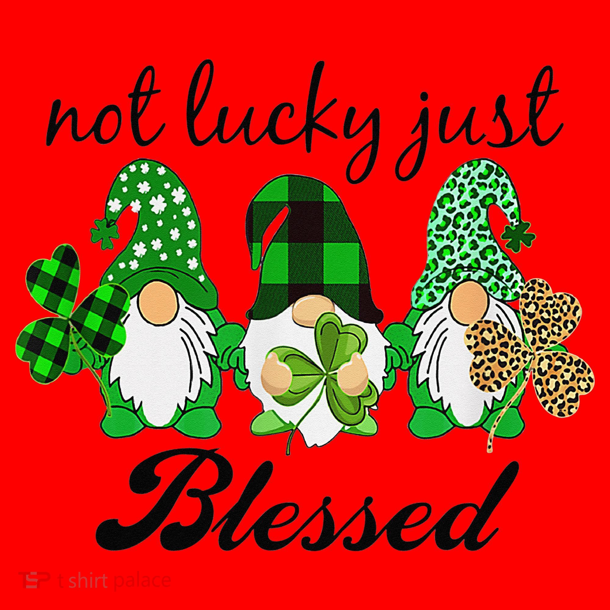 Not Lucky Just Blessed Gnomes Shamrock St Patrick Day Irish Santa Hat