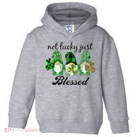 Not Lucky Just Blessed Gnomes Shamrock St Patrick Day Irish Toddler Hoodie thumb 0