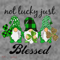 Not Lucky Just Blessed Gnomes Shamrock St Patrick Day Irish Toddler Hoodie thumb 2