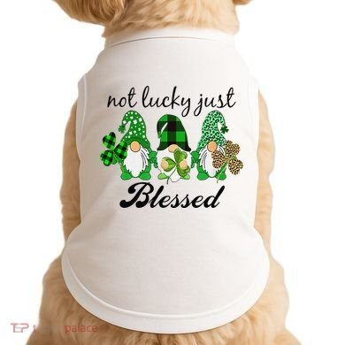 Not Lucky Just Blessed Gnomes Shamrock St Patrick Day Irish Doggie Tank
