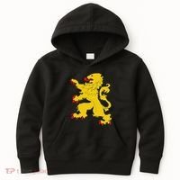 Netherlands Lion Nederland Oranje Crest Dutch Pride Roots Kids Hoodie thumb 0