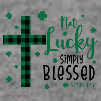 Not Lucky Simply Blessed St Patrick's Day Christianity Toddler Hoodie thumb 2