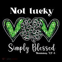 Not Lucky Simply Blessed Clover Hoodie thumb 7