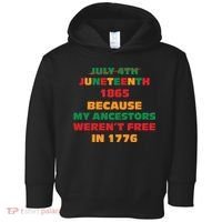 Never Let Them Forget For Juneteenth Day Gift Toddler Hoodie thumb 0