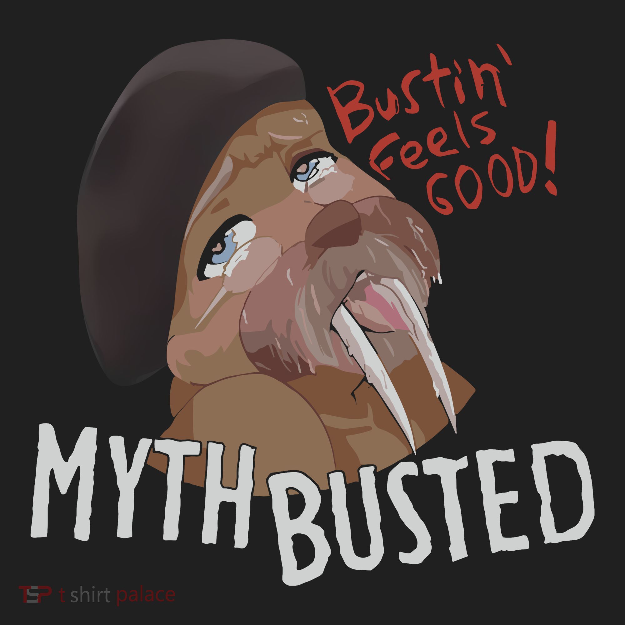 Nasty Myth Busted Beanie
