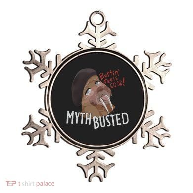 Nasty Myth Busted Ornament