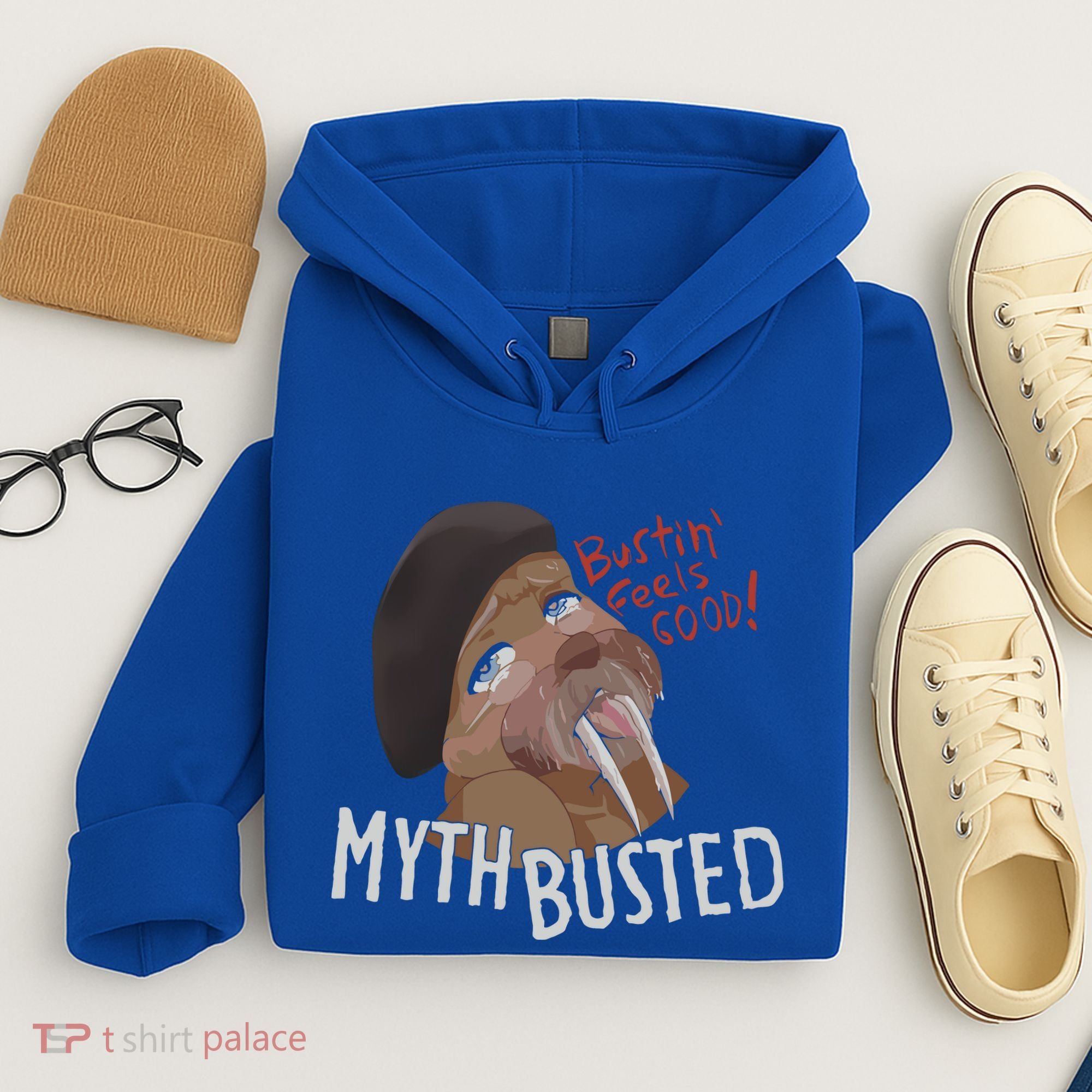 Nasty Myth Busted Hoodie