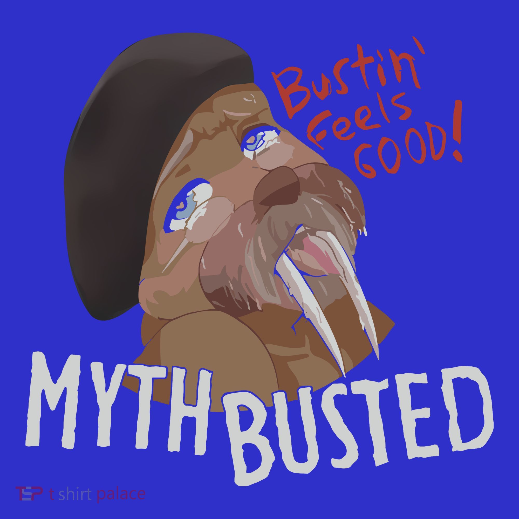 Nasty Myth Busted Hoodie