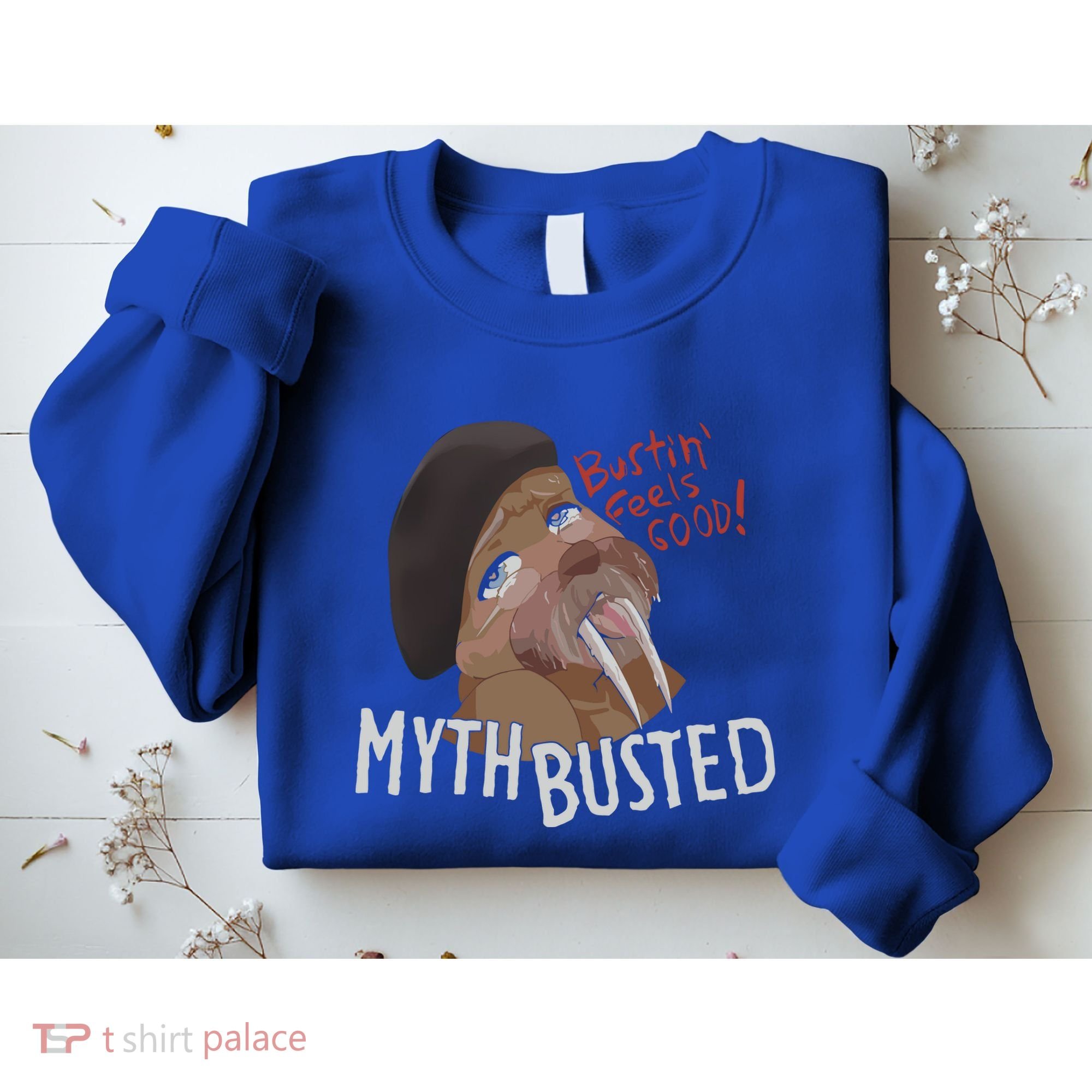 Nasty Myth Busted Sweatshirt