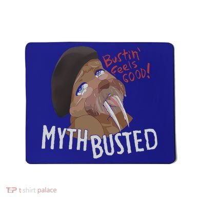 Nasty Myth Busted Mousepad