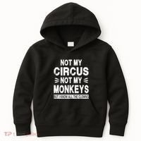 Not My Circus. Not My Monkeys. But I Know All The Clowns Kids Hoodie thumb 0