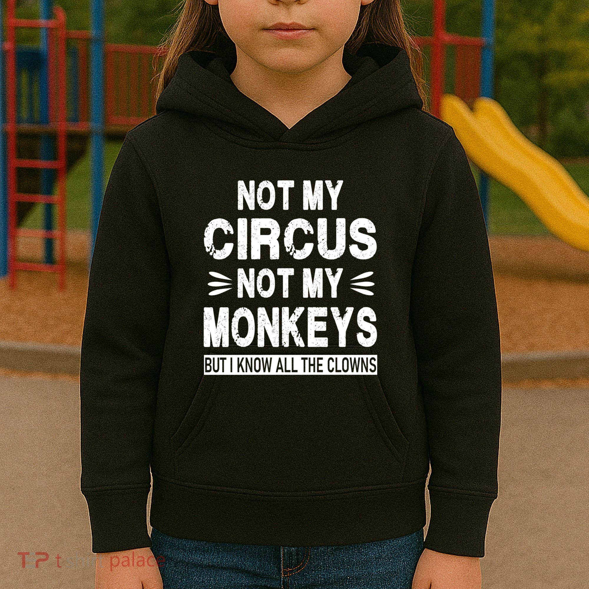 Not My Circus. Not My Monkeys. But I Know All The Clowns Kids Hoodie
